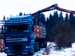 Holztruck beim Beladen vom Ablageplatz