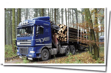 Maas Holztransporter DAF